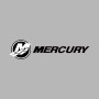 mercury